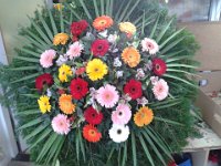 2013-11-18 08.27.09  IICSAUser comments